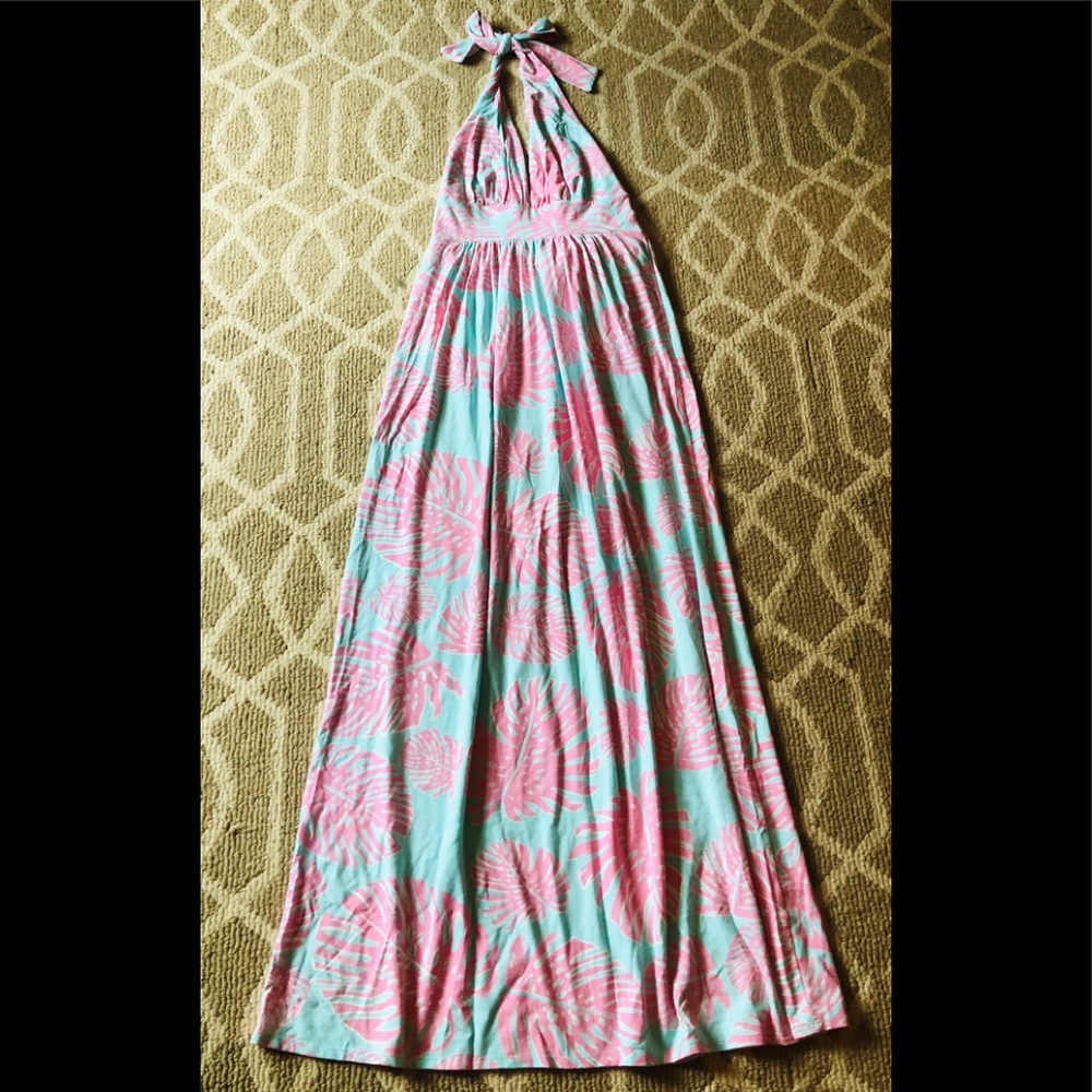 Haley and The Hound Maxi